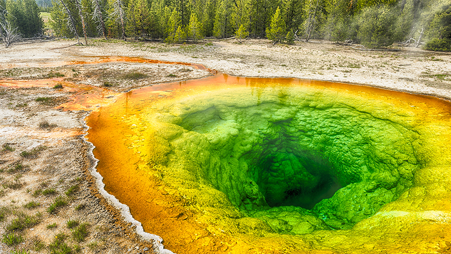 Morning Glory Pool, Parco Nazionale di Yellowstone, Wyoming USA