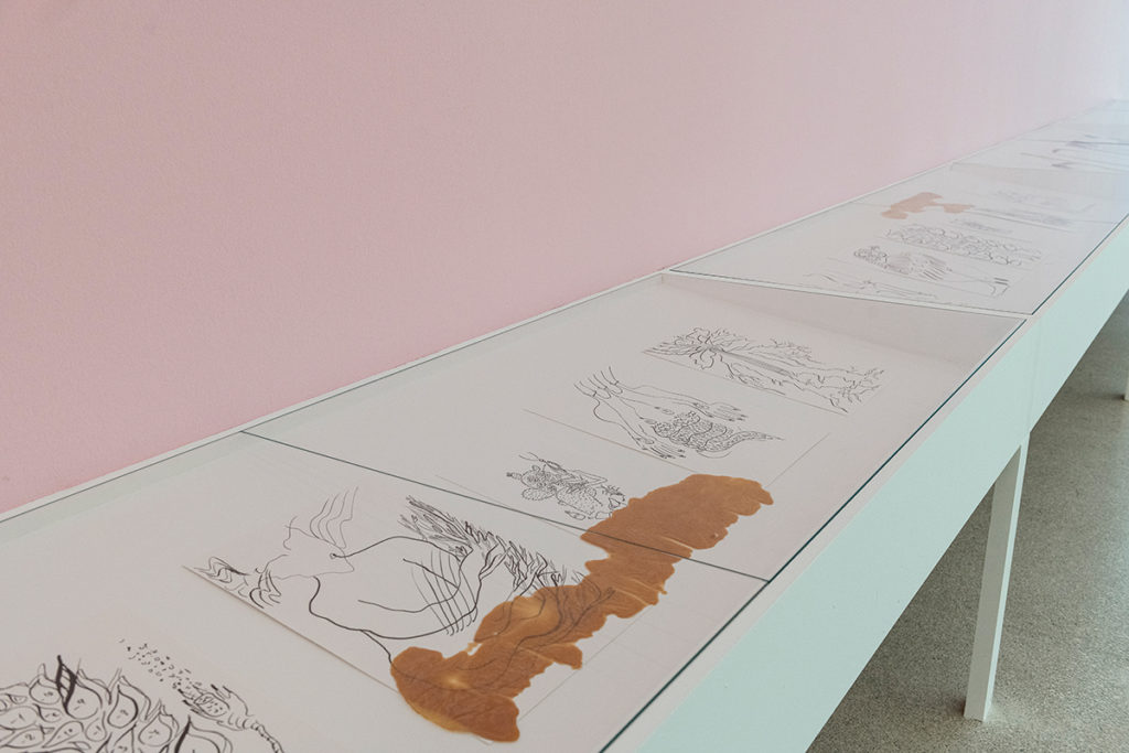 Mercedes Azpilicueta, Bestiario de Lengüitas, exhibition view, Museion 2020. Foto Luca Meneghel 