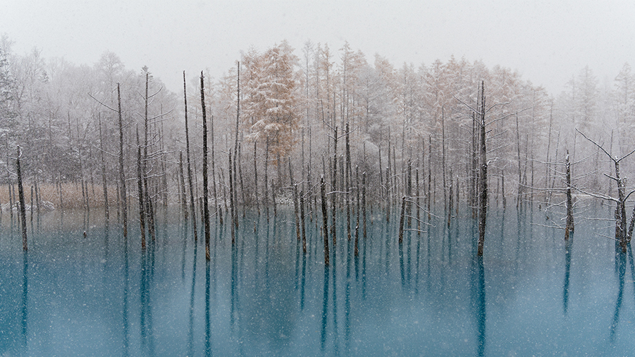Blue Pond, isola di Hokkaido, Giappone