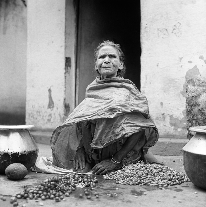 Monti Niligiri India 2017 ©Christian Tasso