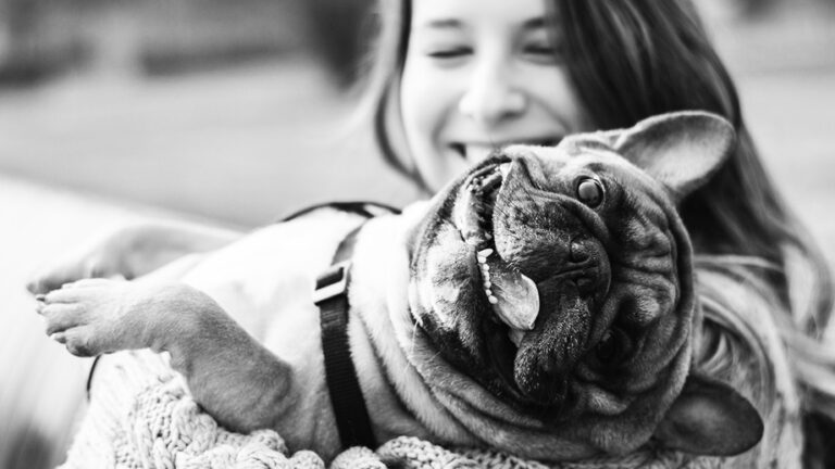 Image credit: Branislav Nenin-Shutterstock