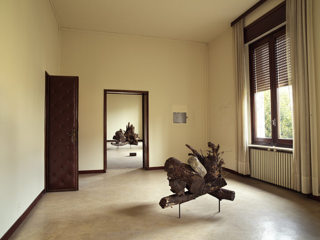 Mike Nelson, Mirror
