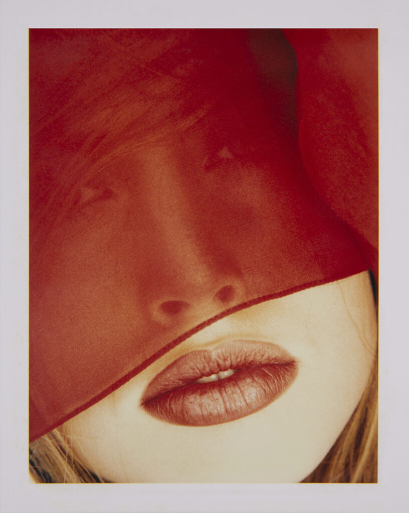 Julie Anderson, Polaroid collection 1970_2000-Polaroid-107x85cm-3T4B5497 ©Marco Glaviano