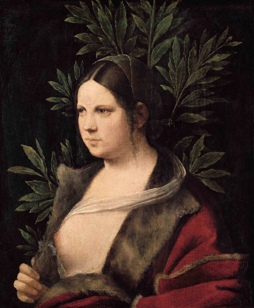 GIORGIONE Laura, 1506 Olio su tela su legno di abete, 41x33,6 cm Vienna, Kunsthistorisches Museum